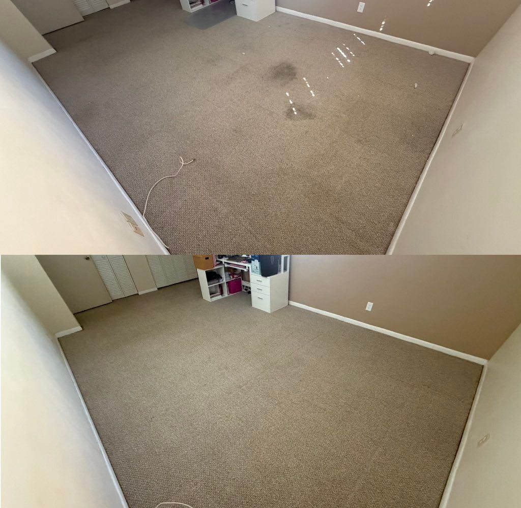 Carpet cleaning — living room