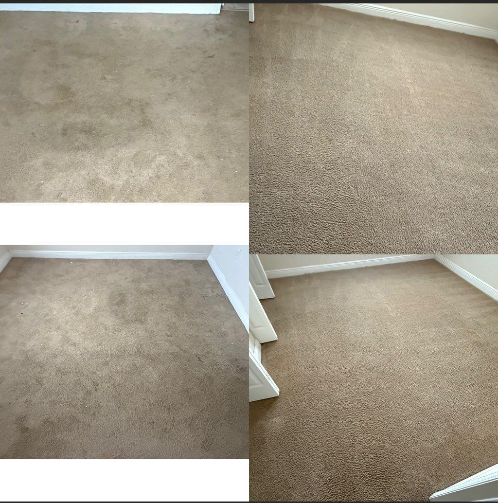 Carpet cleaning — closet area