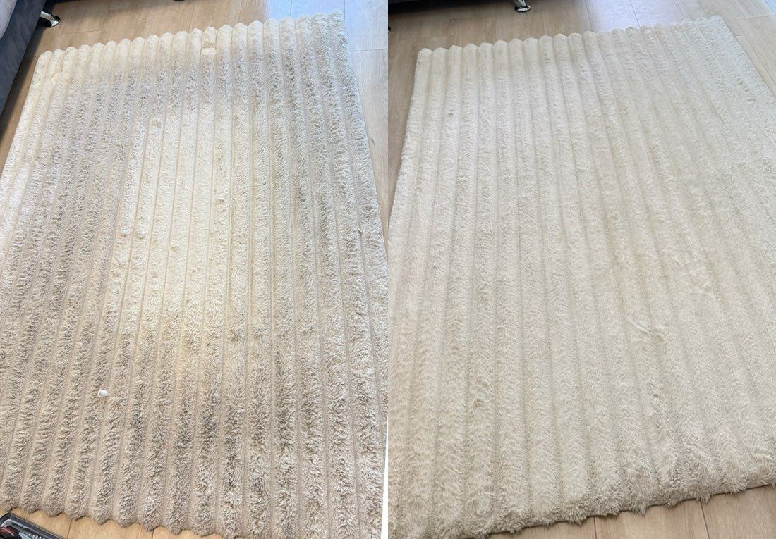 Area rug cleaning