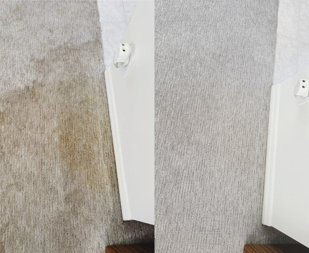 Carpet cleaning — hallway